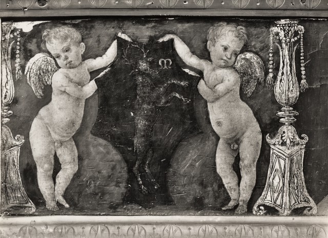 Anonimo — Agnolo di Domenico di Donnino - sec. XV/ XVI - Angeli con stemma gentilizio — particolare, predella